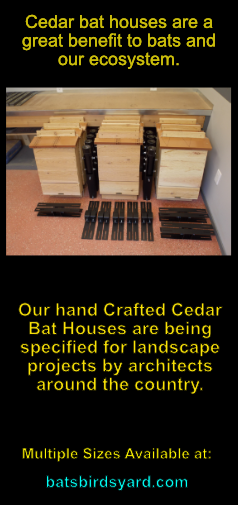 Cedar bat Houses